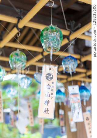 新潟縣新潟市白山神社 129235500