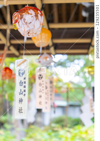 Hakusan Shrine, Niigata City, Niigata Prefecture 129235501