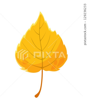 Cartoon yellow autumn birch leaf, Thanksgiving day symbol with vibrant colors of fall. Isolated vector bright leaf symbolizing the change of seasons. Colorful natural fallen tree foliage 129236233