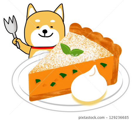 Shiba Inu eating a delicious pumpkin pie 129236685