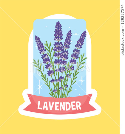 Lavender Illustration with Pastel Background 129237574
