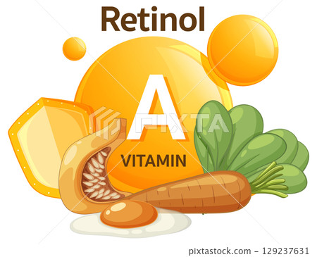 Vitamin A Retinol Sources with Vegetables and Egg Vitamin A Retinol Sources with Vegetables and Egg 129237631