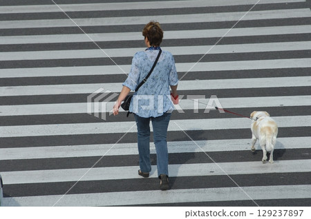 Rear view of Women crossing Zebra Line Rear view of Women crossing Zebra Line 129237897