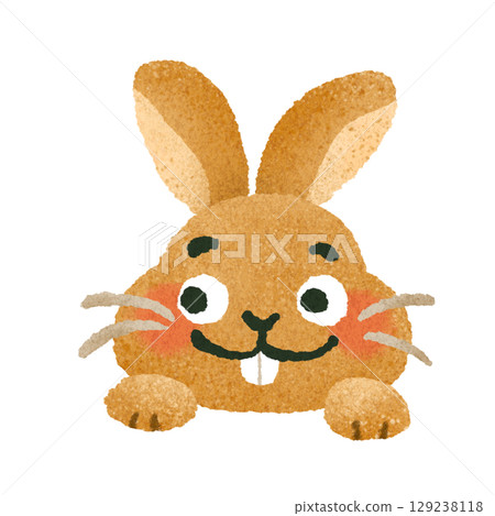 可愛的兔子手繪插畫素材 129238118