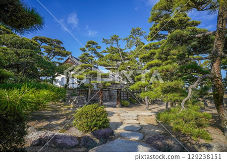 A scene of stepping stones and a Japanese garden against a blue sky 129238151