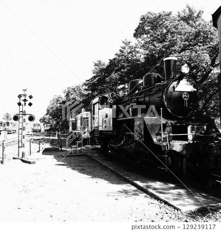 Steam and diesel locomotives competing 129239117
