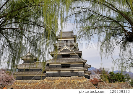 Matsumoto Castle 129239323