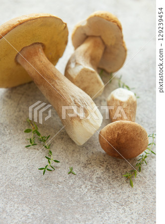 Fresh penny bun mushrooms with thyme on gray background Fresh penny bun mushrooms with thyme on gray background 129239454