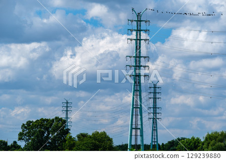 Crows and Towers Crows and Towers 129239880
