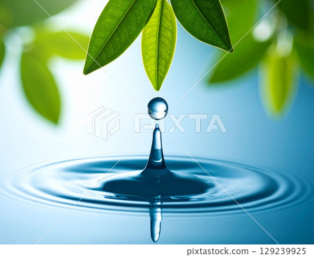 Drops dripping from the leaves 129239925