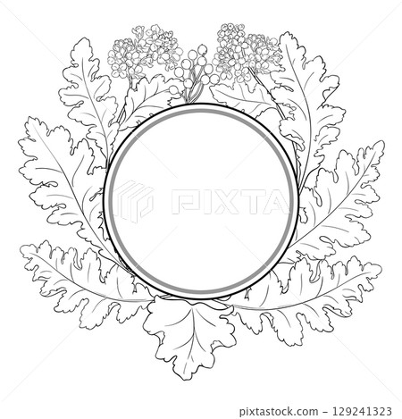 Crambe Plant Outline Round Frame. Crambe Plant Outline Round Frame. 129241323