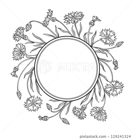 Corn Flower Outline Round Frame. Corn Flower Outline Round Frame. 129241324