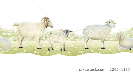 Goats with baby and white sheep watercolor seamless border isolated on white. Cute farm animals grazing on grass lawn in simple style and pastel colors for rural village designs and countryside scene 129241353