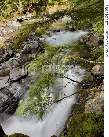Green leaves and valley 129241688