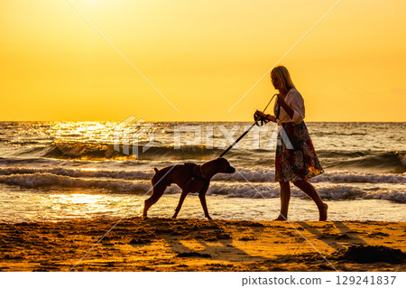 Young woman walking a dog along the shoreline during a vivid sunset by the sea 129241837