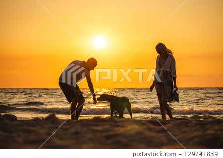 Man and woman spending time with their German Boxer dog on the beach during sunset, enjoying the evening together by the sea. 129241839