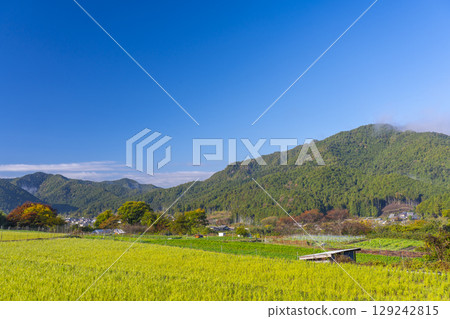 京都大原女子小徑的寧靜景色 京都大原女子小徑的寧靜景色 129242815