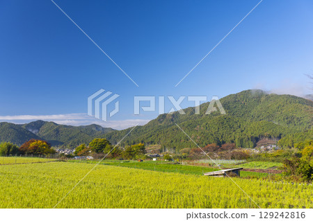 京都大原女子小徑的寧靜景色 京都大原女子小徑的寧靜景色 129242816