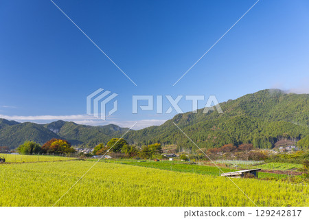 京都大原女子小徑的寧靜景色 京都大原女子小徑的寧靜景色 129242817
