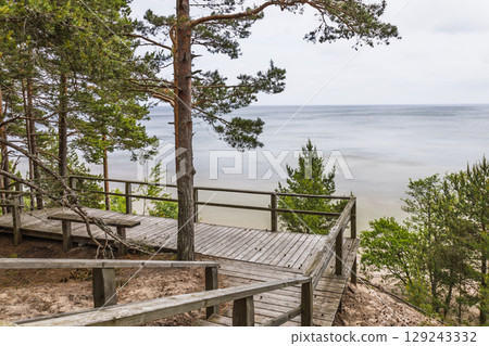 Wooden boardwalk through Baltic pine forest leading to a calm sea viewpoint on a quiet coast 129243332