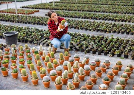 Woman checking potted cactus in greenhouse 129243405