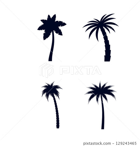 Tropical Palm Trees Tropical Palm Trees 129243465