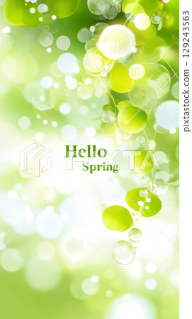 Hello spring greeting with fresh green leaves and blurred background 129243563