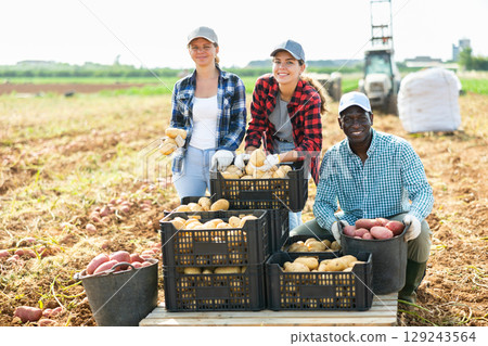 Farmers posing on vegetable plantation near pile of plastic boxes with freshly picked potatoes. Concept of successful agrarian business and rich potato harvest 129243564