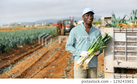African american man with a leek in hand in field African american man with a leek in hand in field 129243901