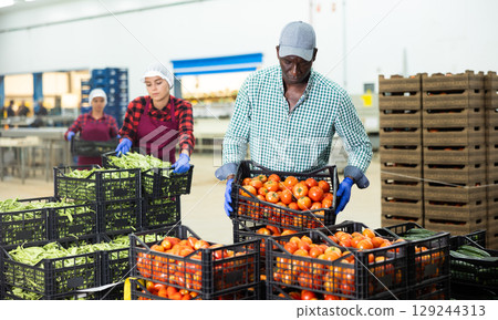 Food factory warehouse worker stacks crates of tomatoes Food factory warehouse worker stacks crates of tomatoes 129244313