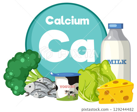 Calcium Rich Foods and Dietary Sources Vector Illustration Calcium Rich Foods and Dietary Sources Vector Illustration 129244482