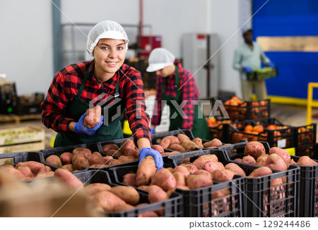 Cheerful girl checking quality and sorting potatoes in storehouse 129244486