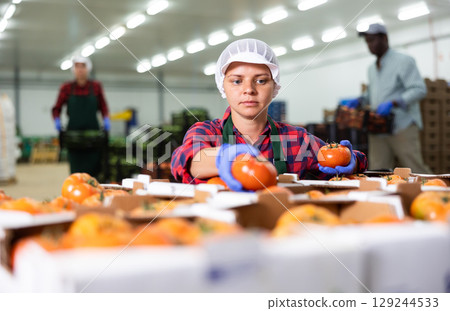 Young woman checking quality of tomatoes in warehouse Young woman checking quality of tomatoes in warehouse 129244533