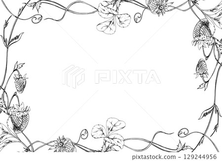 Strawberry on stems with vines tendrils, hanging ripe garden berry pineberry strasberry snakeberry hand drawn in vector ink. Isolated border corner frame. Farmers market, eco food gardening calendar 129244956