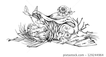 Golden chanterelle girolle mushroom with snail, blackberry cranberry twigs, pine needles, bark moss lichen growth. Fungus nature illustration hand drawn in vector ink. Autumn forest woodland harvest 129244964