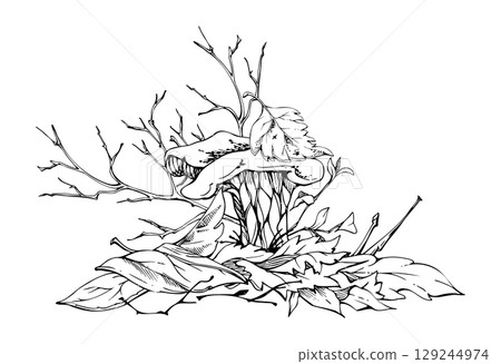 Golden chanterelle girolle mushroom fungus on top of fallen autumn leaves pile with twigs, branches. Fungi nature illustration hand drawn in vector ink. Forest woodland floor habitat ecosystem scene. 129244974