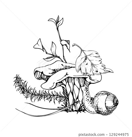 Golden chanterelle girolle mushroom fungus with crawling snail, horsetail plant, berry branch, pine needles, fallen autumn leaf moss growth. Forest floor nature illustration hand drawn in vector ink. Golden chanterelle girolle mushroom fungus with crawling snail, horsetail plant, berry branch, pine needles, fallen autumn leaf moss growth. Forest floor nature illustration hand drawn in vector ink. 129244975