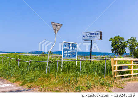 [Hokkaido_Abashiri City] Cape Notoro and Lake Notoro June July 129245129