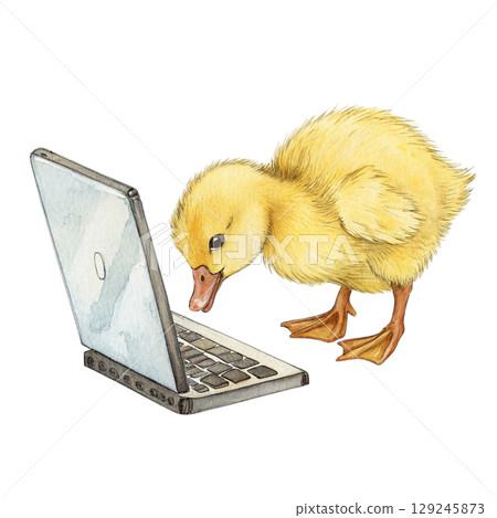 The cutest animals in the world Sitting on a Laptop Watercolor White Background The cutest animals in the world Sitting on a Laptop Watercolor White Background 129245873