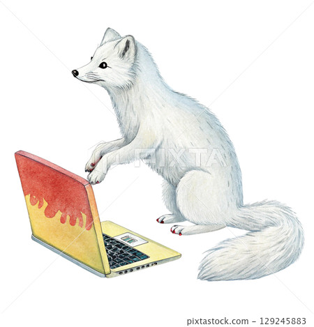 The cutest animals in the world Sitting on a Laptop Watercolor White Background The cutest animals in the world Sitting on a Laptop Watercolor White Background 129245883