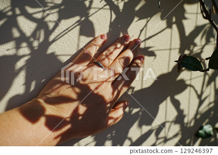 Hand Touching Wall with Leaf Shadows at Sunset Hand Touching Wall with Leaf Shadows at Sunset 129246397