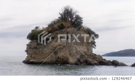 Matsushima Bay, Miyagi Prefecture 129246467