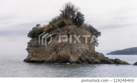 宮城縣松島灣 宮城縣松島灣 129246469