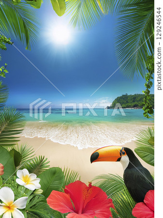 Frame of blue sea, sandy beach, tropical plants such as hibiscus and plumeria, and toco toucan Frame of blue sea, sandy beach, tropical plants such as hibiscus and plumeria, and toco toucan 129246544