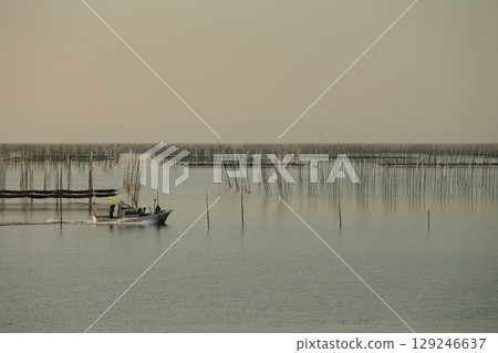 Omuta City Ariake Sea Nori field, 129246637