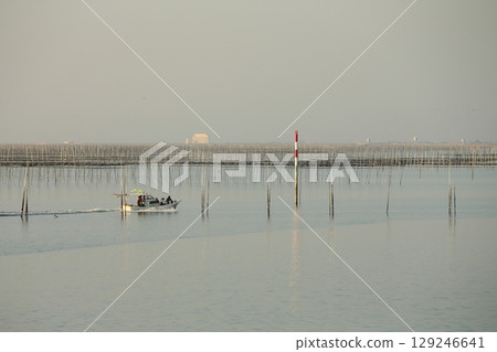 大牟田市有明海紫菜場, 大牟田市有明海紫菜場, 129246641