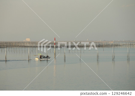 大牟田市有明海紫菜場, 大牟田市有明海紫菜場, 129246642
