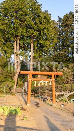 Arahagi Shrine, Tagajo City, Miyagi Prefecture 129246656
