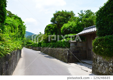 Turtle samurai residence group 129246685