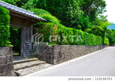 Turtle samurai residence group Turtle samurai residence group 129246763